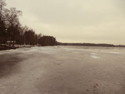 20170129