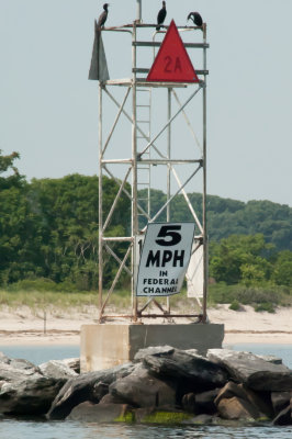 Pt. Jeffeson Entrance West Breakwater Light - 20150713-093806-_D3D8283.jpg
