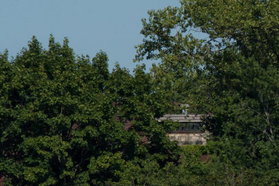 Ruins at North Brother Island - 20150725-092930-_D3D8536.jpg