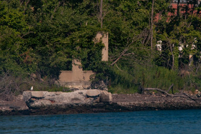 Ruins at North Brother Island - 20150725-093012-_D3D8539.jpg