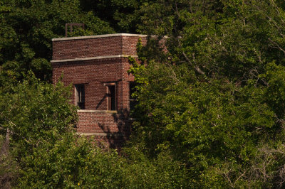 Ruins at North Brother Island - 20150725-093126-_D3D8542.jpg