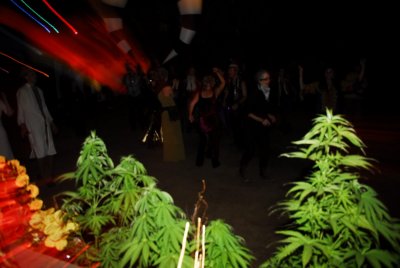 TurtleCrkRch'13 123.JPG