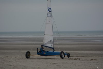 6h Berck D7-14_047 (800x600).JPG