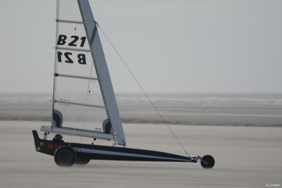 6h Berck D7-14_113 (800x600).JPG