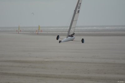 6h Berck D7-14_188 (800x600).JPG