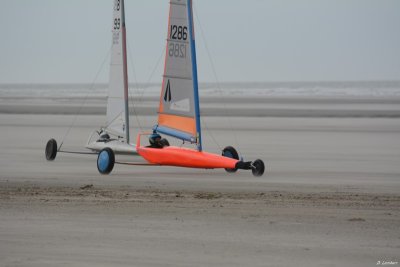 6h Berck D7-14_217 (800x600).JPG