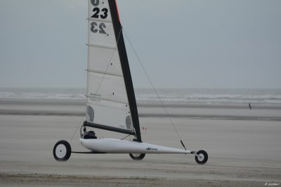 6h Berck D7-14_220 (800x600).JPG