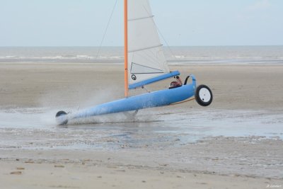 Bleriot D7-16_080 (800x600).JPG