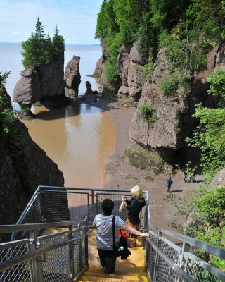 Jode2708_017recnivph.jpg