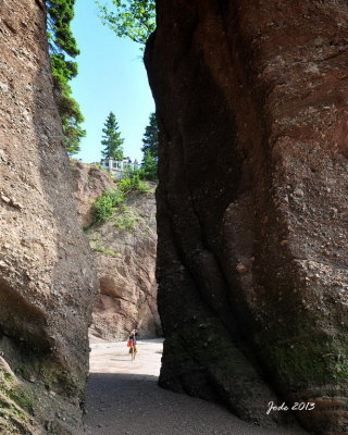 Jode2708_020recnivph.jpg