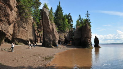 Jode2708_021recnivph.jpg