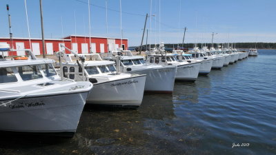 Jode2738_061recnivph.jpg