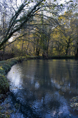 g9/40/779140/3/153856004.iOEp6PRD.jpg