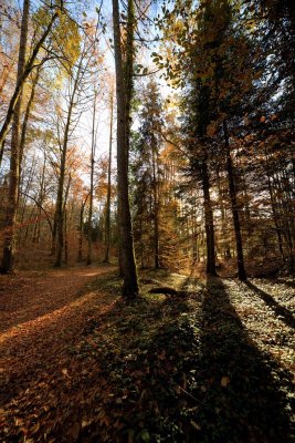 Automne en Périgord