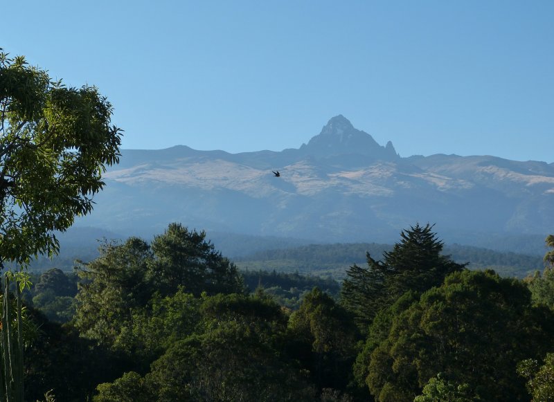 Mt Kenya with no clouds!