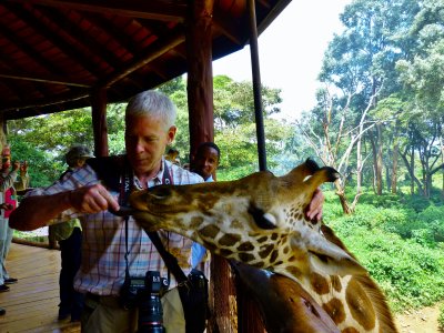 At Langata Giraffe Center
