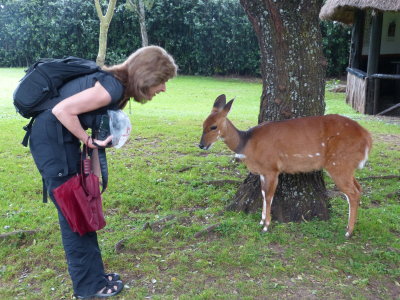 Deb is like an animal magnet - they all LOVE her!