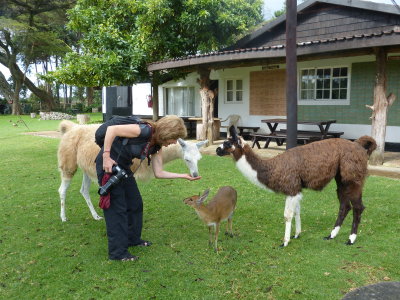 Mt. Kenya Animal Orphanage, many of the animals here roam free - great for the kids! (and Deb)
