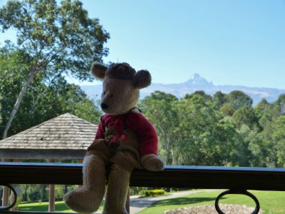 Spunky sits in front of Mt. Kenya.  He said it was easier than climbing it.