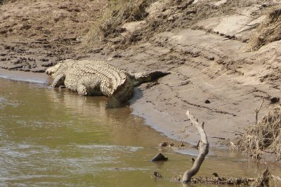 What we had to avoid as we crossed the Mara River