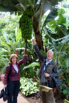 Deb and Mike and a bunch of bananas