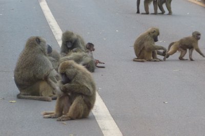 Road blockage just before the gate at the crater