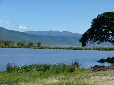 The hippo pool/picnic site