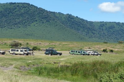 a gaggle of picnickers