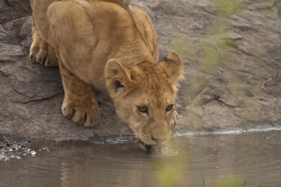 Time for a drink