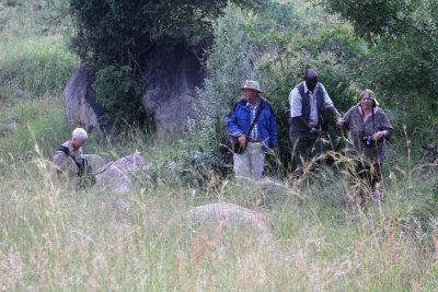 May 31, 2013 The Serengeti