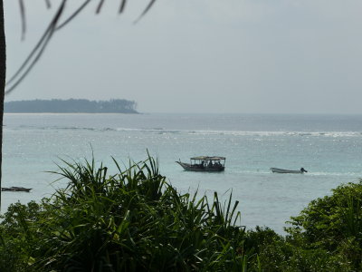 A snorkeling boat passes by
