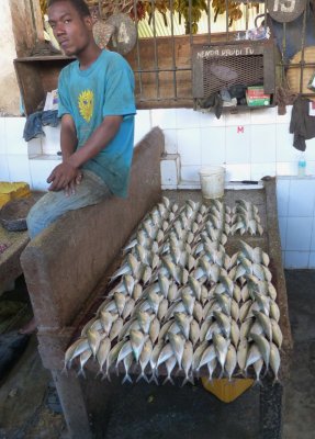 Fish seller in the market