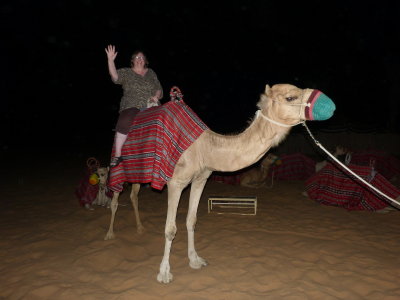 Yep.  You guessed it.  A camel ridde  was crossed off my bucket list.  It was fun!
