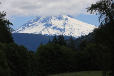 Pretty valley with Mount Hood