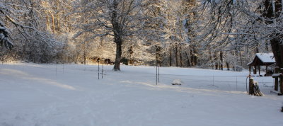 More early sunlight on the fresh snow