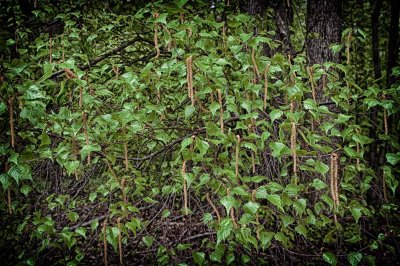 IMG_4883_HDR.jpg
