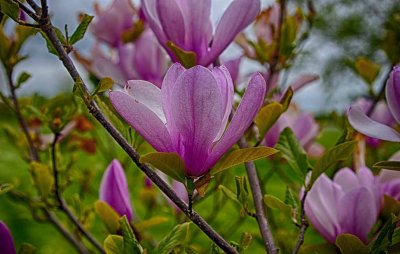 IMG_4914_HDR.jpg