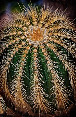 Deep Cut Gardens 6.jpg