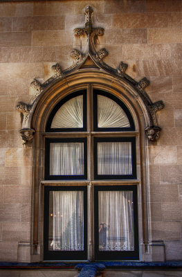 WINDOW.jpg