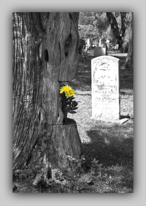 Wandering the cemetery...