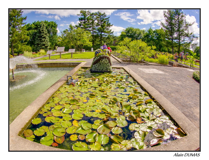 20130630-_K5_0769HDR1-2.jpg