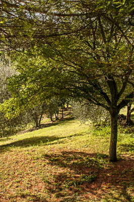 06102013-_ITA2180.jpg