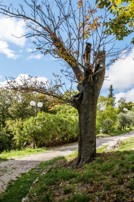 06102013-_ITA2238.jpg