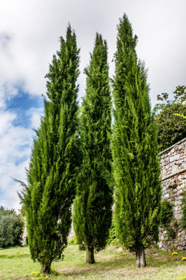 06102013-_ITA2244.jpg