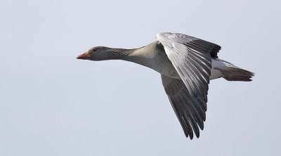 g9/40/966840/3/160832026.EFE0dTwx.jpg