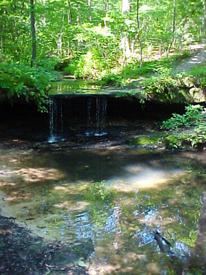 Pickle Springs Natural Area