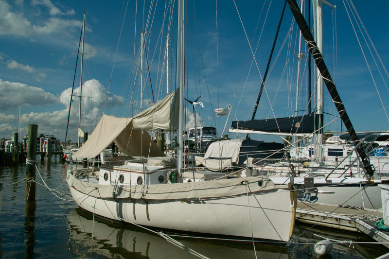 SDIM1815.jpg