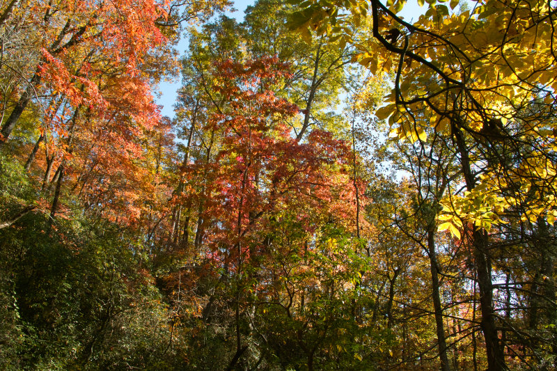 SDIM4788.jpg