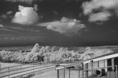 18mm f8 Infrared