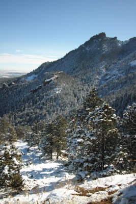 SDIM0290.JPG